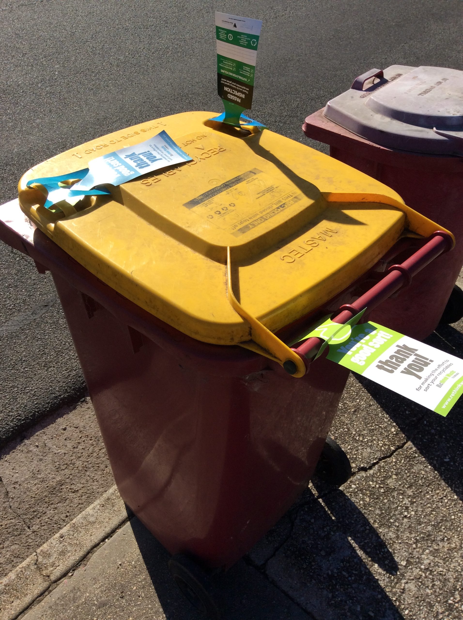 Kerbside Recycling Bin Assessments in the Cradle Coast region